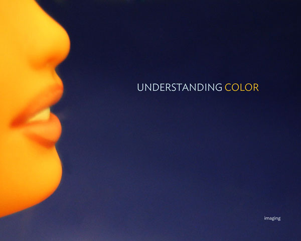 understanding color